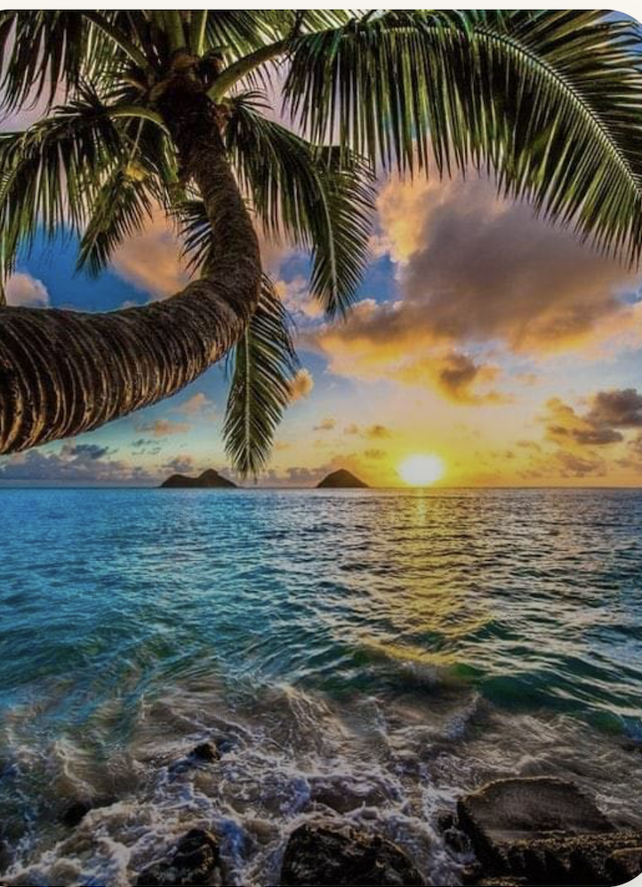 San Cristobal Peninsula, Bocas del Toro